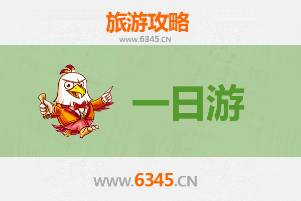 儋州国营蓝洋农场一日游攻略：热带田园体验与费用明细