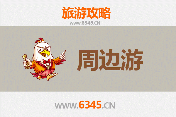 儋州国营蓝洋农场周边游攻略：热带风情与农垦文化的完美融合